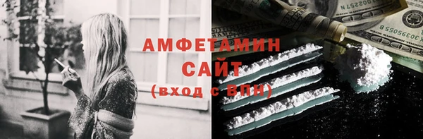 apvp Горняк