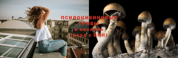 меф Горнозаводск