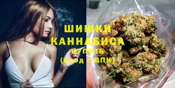 apvp Горняк